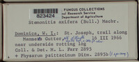 Image Associated With the Occurence